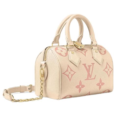 speedy 20 louis vuitton.